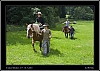 125_wild-west_30-07.jpg