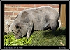 127_wild-west_30-07.jpg