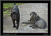 140_wild-west_30-07.jpg