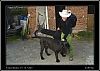 142_wild-west_30-07.jpg