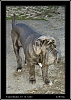 143_wild-west_30-07.jpg
