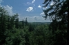 DSC_1288.jpg
