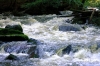 DSC_2652.JPG