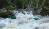 DSC_2751.JPG
