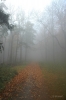 DSC_5016.jpg