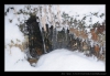 013-silvestr-28-12-2010.jpg
