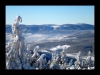035-silvestr-29-12-2010.jpg