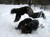 IMG_5582.JPG