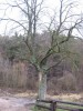 img_2998.jpg