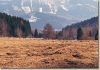 Jarnaky_2002_019.jpg