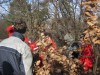 img_3456.jpg