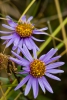031_vyletsk_16-10-10.jpg