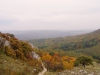 044_vyletsk_16-10-10.jpg