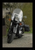 dsc_7586.jpg