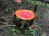 IMG_0543.JPG