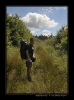 Bukovky2008_077.jpg