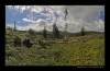 Bukovky2008_080.jpg