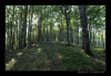 Bukovky2008_084.jpg