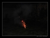 Silvestr_2008-12027.jpg