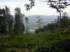 DSCN3595.jpg