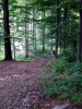 DSCN3625.jpg