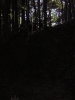 DSCN3639.jpg