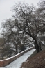 029-wabun-Zima.jpg