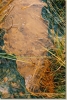F1010030.JPG