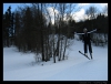 385_Karlovice_2010.JPG