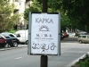 P1010003.jpg