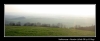123-velikonoce09.jpg
