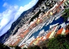 2010-03-20-21_VZSSST81-cassia_136.jpg