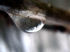 2010-03-20-21_VZSSST81-regi.jpg
