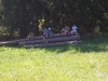 img00036.jpg