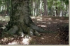 tabor_2003_0138.jpg