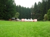 tab2005078.jpg