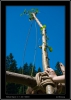 180_tabor-sk_11-07-2010.jpg