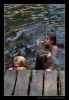265_tabor-sk_14-07-2010.jpg