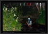 326_tabor-sk_17-07-2010.jpg