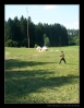 121_tabor-sky_22-07-2010.jpg