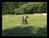 126_tabor-sky_22-07-2010.jpg