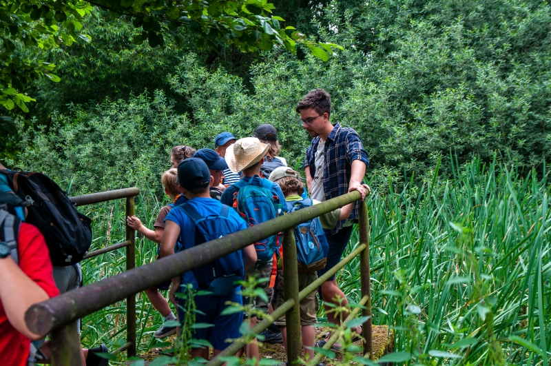 Klikněte pro zobrazení původního (velkého) obrázku