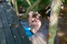 DSC_1189.jpg