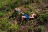 DSC_1282.jpg