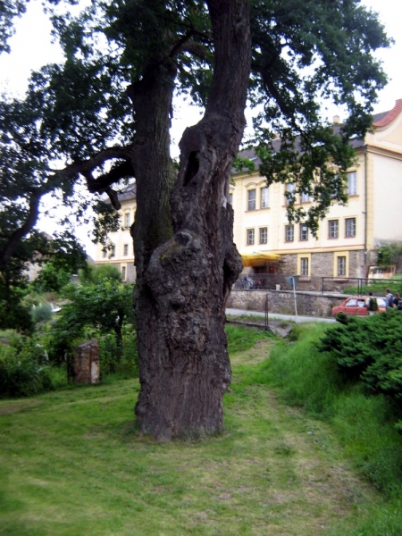 Klikněte pro zobrazení původního (velkého) obrázku