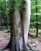 img065.jpg