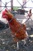 02-roadtrip_tabor-22-05-2011.jpg