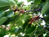 06-roadtrip_tabor-22-05-2011.jpg