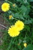 07-roadtrip_tabor-22-05-2011.jpg