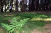 29-roadtrip_tabor-22-05-2011.jpg